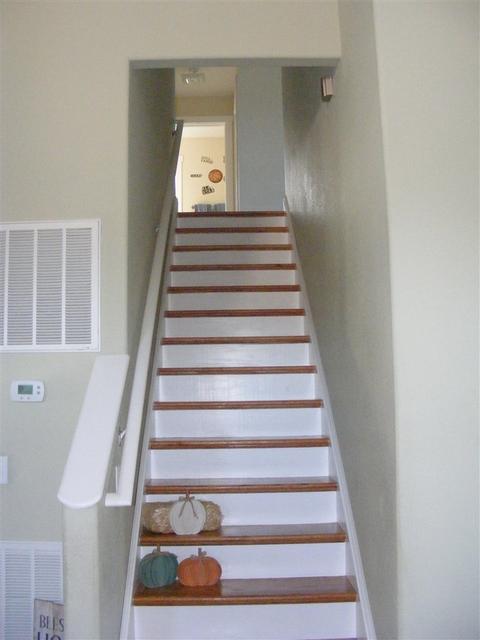 283 Rustic Ave, Broadway, VA 22815 photo 8