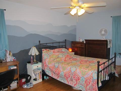 83 Overlook Ave, Mount Sidney, VA 24467 photo 12