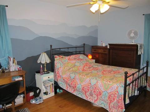83 Overlook Ave, Mount Sidney, VA 24467 photo 11