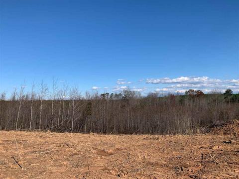 Tbd E Branch Dr, Scottsville, VA 24590