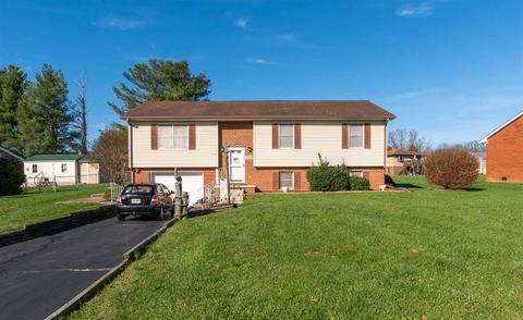 208 Cambridge Dr, Stuarts Draft, VA 24477 photo 26