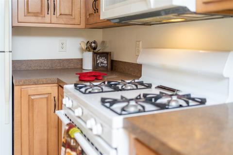 754 Pine Ave, Waynesboro, VA 22980 photo 27