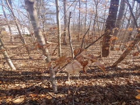 24 Haversack Rd, Palmyra, VA 22963 photo 1