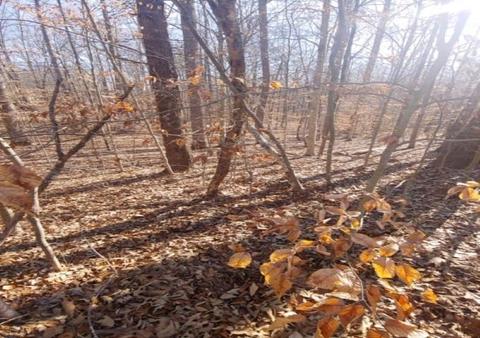 24 Haversack Rd, Palmyra, VA 22963 photo 2
