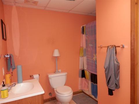 1668 Sterrett Rd, Raphine, VA 24472 photo 22
