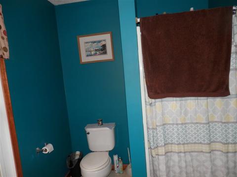 1668 Sterrett Rd, Raphine, VA 24472 photo 16