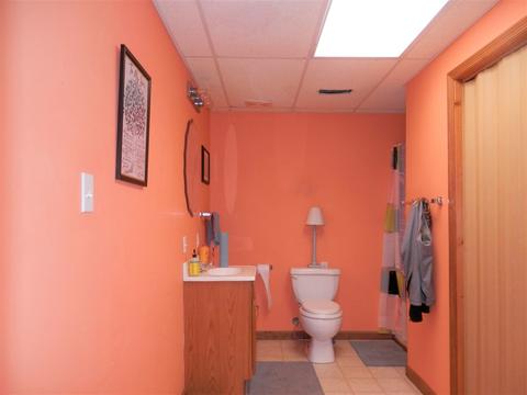 1668 Sterrett Rd, Raphine, VA 24472 photo 21
