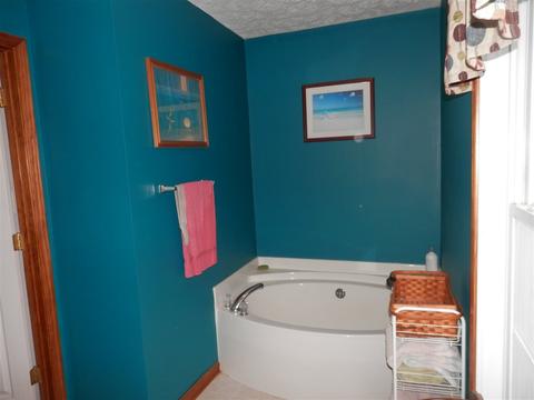 1668 Sterrett Rd, Raphine, VA 24472 photo 15