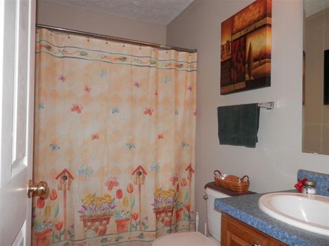 1668 Sterrett Rd, Raphine, VA 24472 photo 10