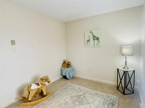 128 Falling Rock Dr, Stuarts Draft, VA 24477 photo 29