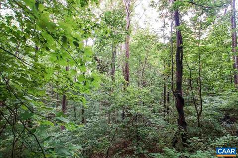 8024 Tabletop Mountain Rd, Dyke, VA 22935 photo 13
