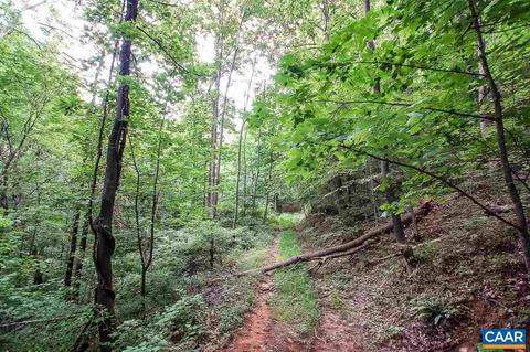 8024 Tabletop Mountain Rd, Dyke, VA 22935 photo 12