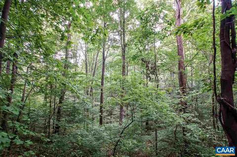 8024 Tabletop Mountain Rd, Dyke, VA 22935 photo 15
