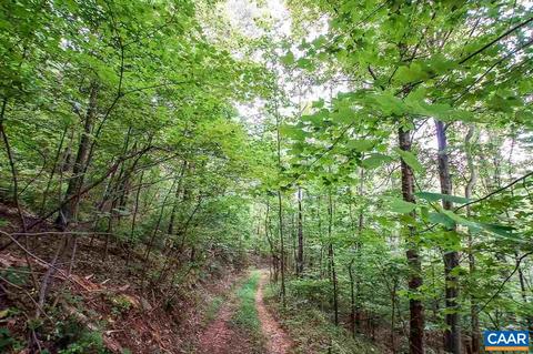 8024 Tabletop Mountain Rd, Dyke, VA 22935 photo 14