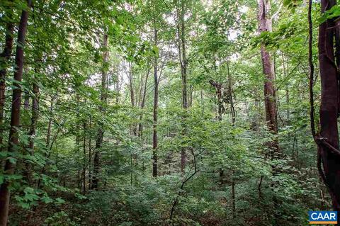 8024 Tabletop Mountain Rd, Dyke, VA 22935 photo 17