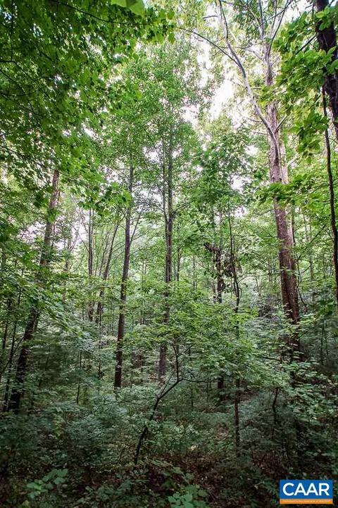 8024 Tabletop Mountain Rd, Dyke, VA 22935 photo 16