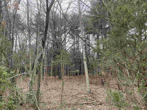 Tbd Site 5 Huckleberry Rd, Elkton, VA 22827