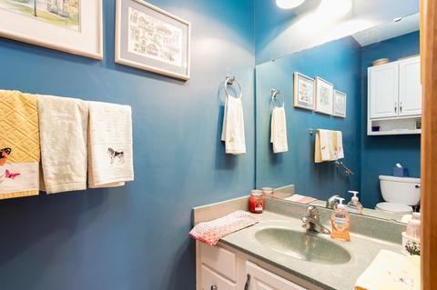 180 Ridgemore Dr, Raphine, VA 24472 photo 26