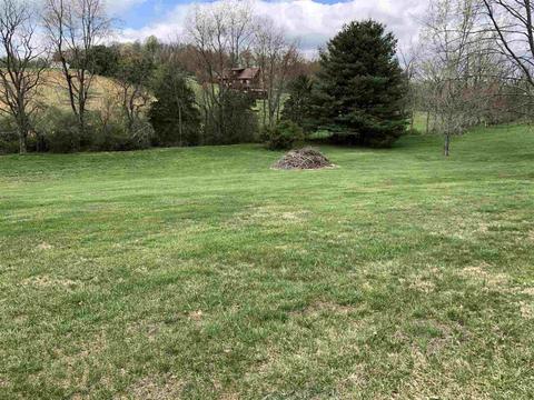 512 E View Ln, Raphine, VA 24472 photo 15