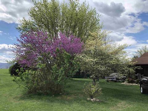 512 E View Ln, Raphine, VA 24472 photo 17