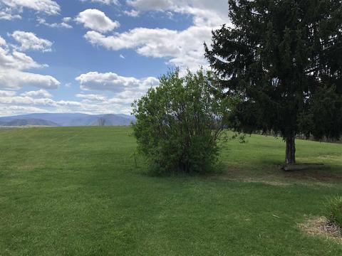 512 E View Ln, Raphine, VA 24472 photo 19