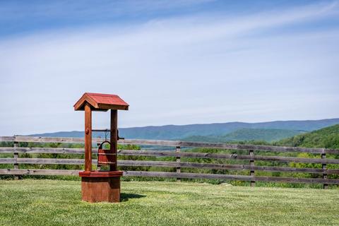 1403 Ridge Rd, Raphine, VA 24472 photo 57