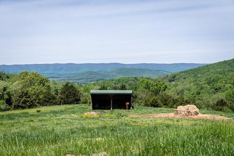1403 Ridge Rd, Raphine, VA 24472 photo 70