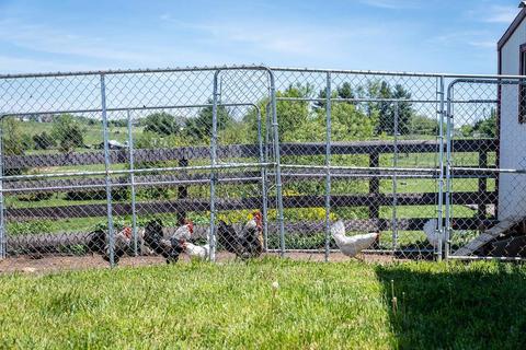 1403 Ridge Rd, Raphine, VA 24472 photo 62