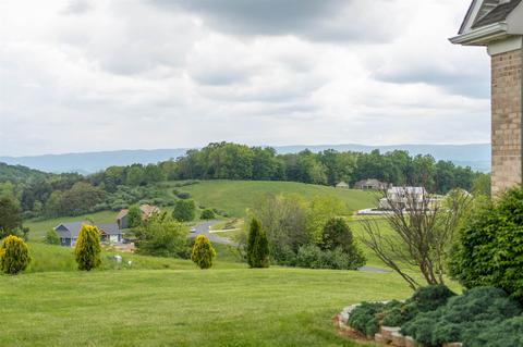 60 Koogler Trl, Raphine, VA 24472 photo 66
