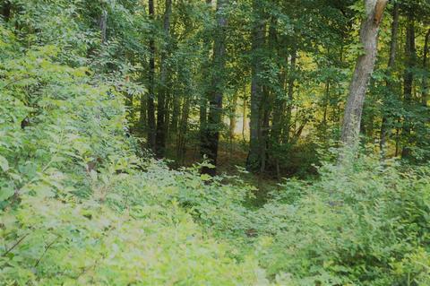36 Berry Patch Ln, Stuarts Draft, VA 24477 photo 18