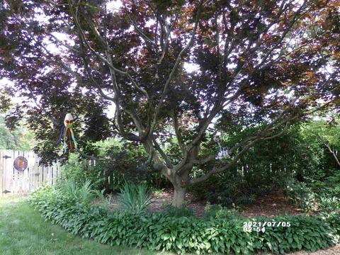 630 Maple Ave, Waynesboro, VA 22980 photo 45