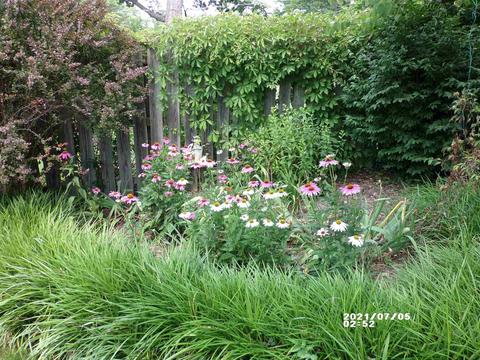 630 Maple Ave, Waynesboro, VA 22980 photo 39
