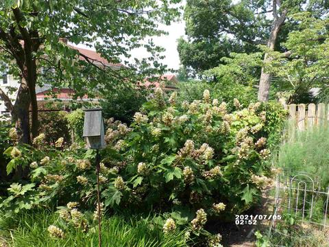 630 Maple Ave, Waynesboro, VA 22980 photo 42