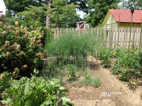630 Maple Ave, Waynesboro, VA 22980 photo 41
