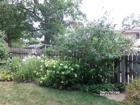 630 Maple Ave, Waynesboro, VA 22980 photo 38