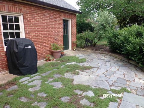 630 Maple Ave, Waynesboro, VA 22980 photo 36