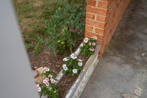 19 Essex Rd, Grottoes, VA 24441 photo 65