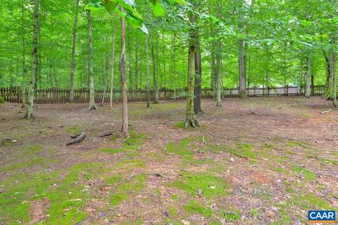115 Riverside Dr, Palmyra, VA 22963 photo 36