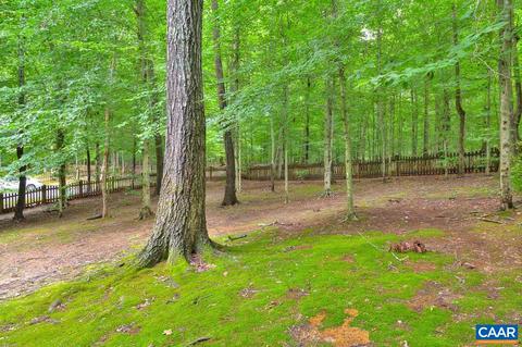 115 Riverside Dr, Palmyra, VA 22963 photo 35