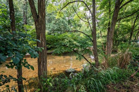 212 E Riverside Dr, Bridgewater, VA 22812 photo 40