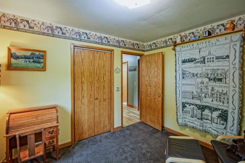 435 Eastview Ln, Raphine, VA 24472 photo 27