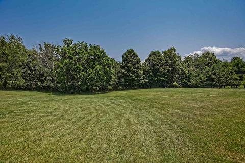 435 Eastview Ln, Raphine, VA 24472 photo 48