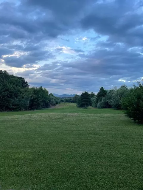 0 Three Mile Bank Ln, Mount Jackson, VA 22842