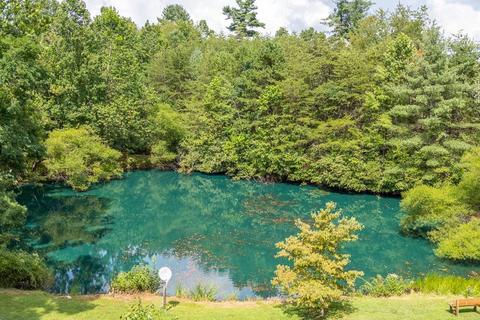 170 Old Back Rd, Raphine, VA 24472 photo 64