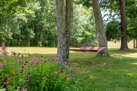 170 Old Back Rd, Raphine, VA 24472 photo 60