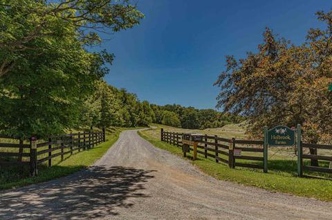 258 Harrison Dr, Raphine, VA 24472 photo 5