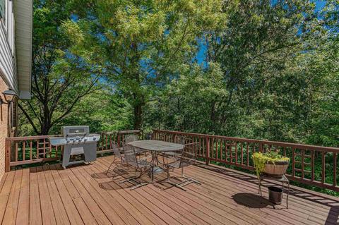 258 Harrison Dr, Raphine, VA 24472 photo 12