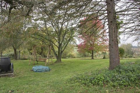 1377 Mt Solon Rd, Mount Solon, VA 22843 photo 45