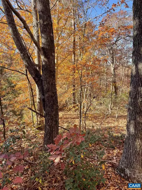 19 Chickasaw Pl, Palmyra, VA 22963