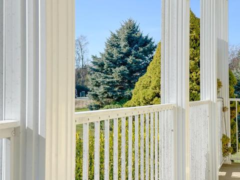 60 Dabneys Rd, Raphine, VA 24472 photo 6